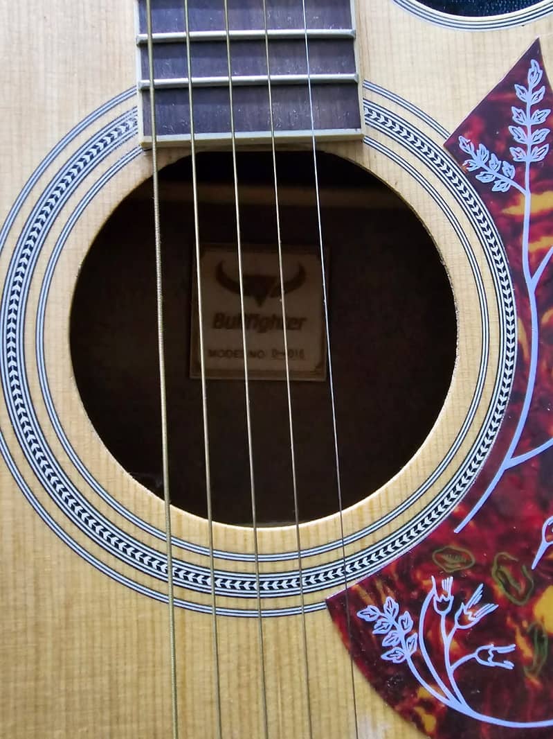 Acoustic Guitar For Sale 3