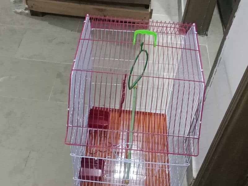 new cage for sale 1