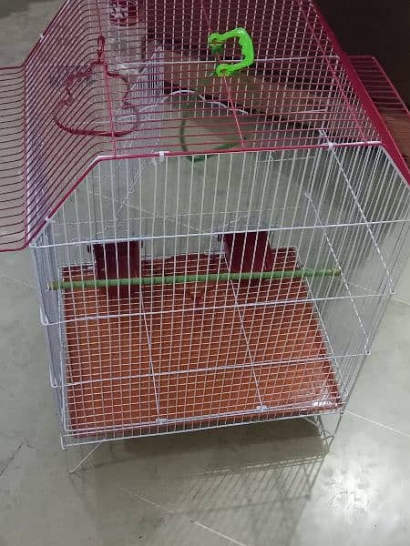 new cage for sale 5