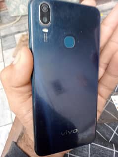 vivo