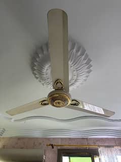 fancy fan 0