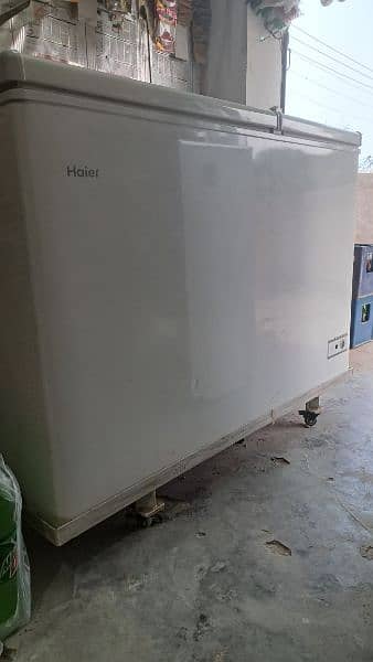 haier freezers 03060431237 4