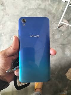 vivo