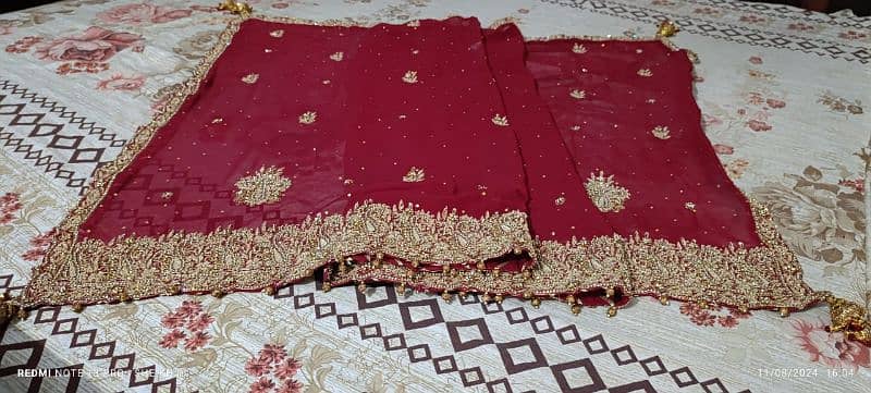 Red blood colour, bridal lehenga for sale 7