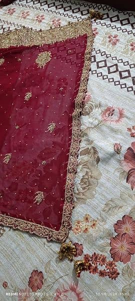 Red blood colour, bridal lehenga for sale 8