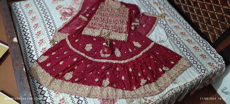 Red blood colour, bridal lehenga for sale 9