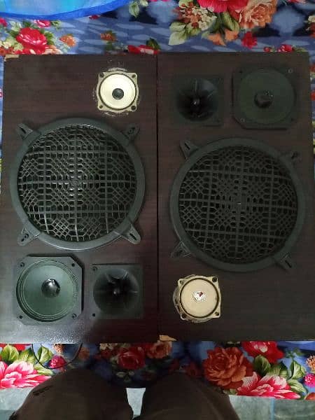 Sony Original Amplifier With 2 Speakers 1