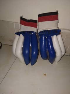 Cricket Hardball gloves