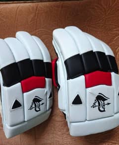 Cricket Gloves (Hard Ball)