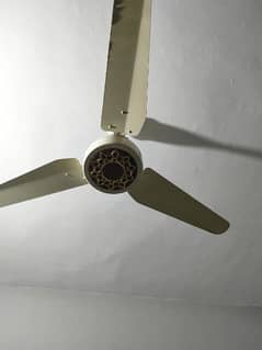 Ceiling Fan