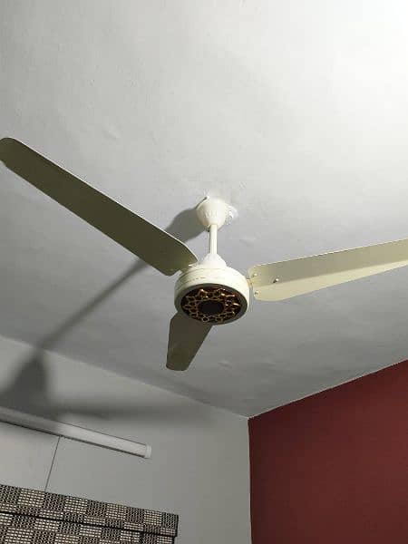 Ceiling Fan 3