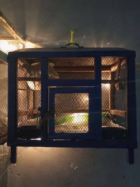 Australian parrotd and hogoromo Parrots with cages breeder pairs 6