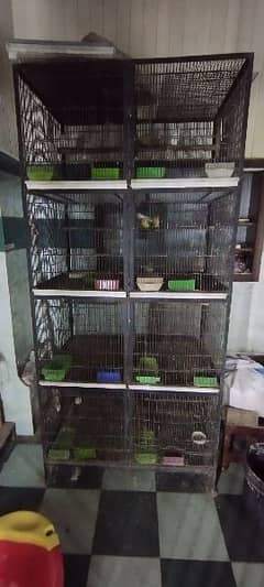 birds 8 portion cage