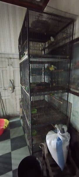 birds 8 portion cage 1