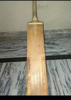 hard ball bat English willow 0