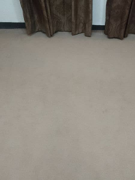 carpet 0