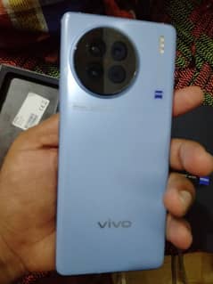 vivo