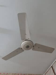 Ceiling Fans for Dale Contact # 0333-5245179 0