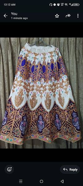 girl lehenga with 2 top shirts 1