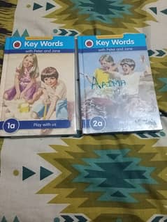 book for sale key words with peter & jane 0