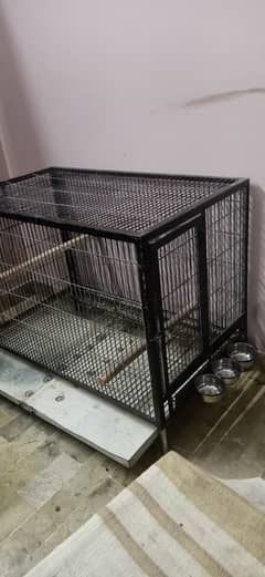 Birds cage chance on deal 0