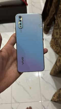 vivo