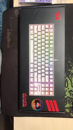 Gaming Keyboard Mechanical