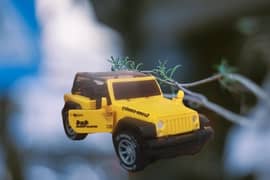 Model Jeep Cross Country