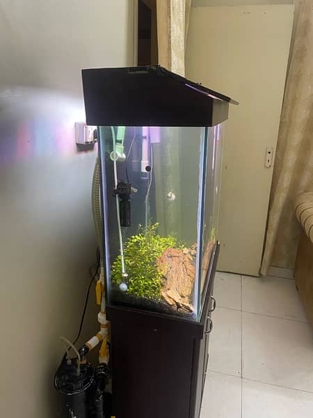 Aquarium for sale 1