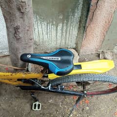 Bicycle for Sale