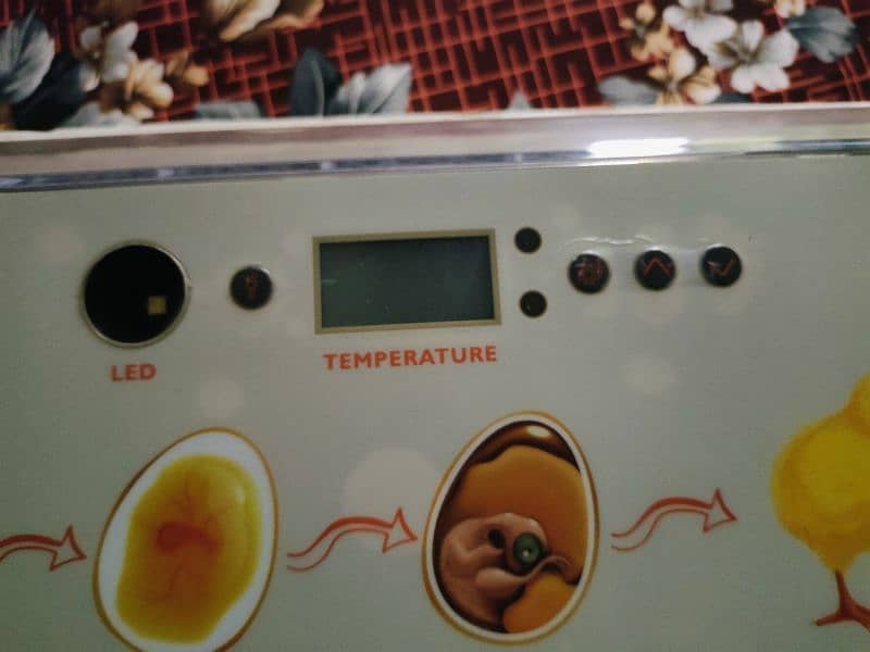 HDD FULLY AUTOMATIC INCUBATOR 1