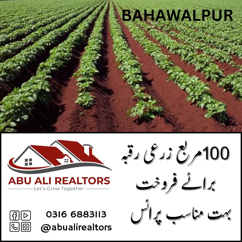 Agriculture Land for Sale in Bahawalpur 8