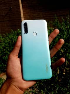 oppoa31