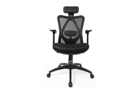 Master Revolving Office Chair