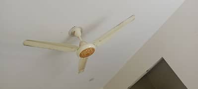 Ceiling fan 0