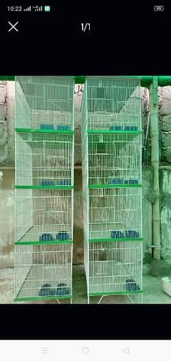 brids cages