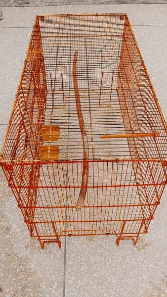 cage for sale 4