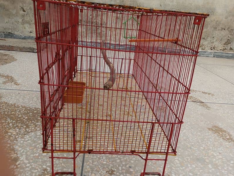 cage for sale 5