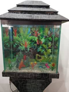 Aquarium for sale urgently 0