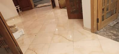 I am a professional tile and marble and chips designer and fixer 0