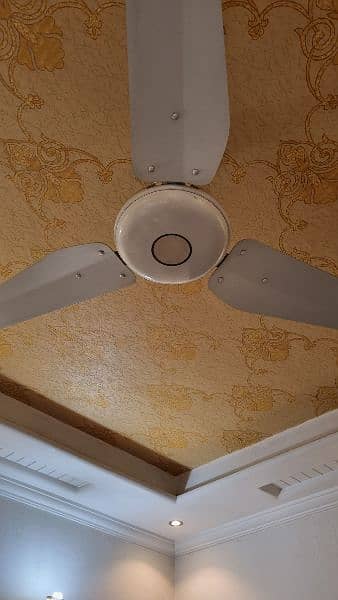 Lahore fan Fantax white 56" 1