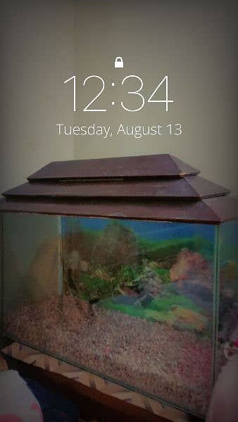 Fish Aquarium in Excellent  condition 0