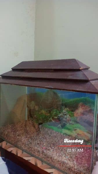 Fish Aquarium in Excellent  condition 1