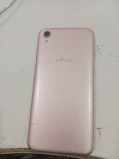 vivo