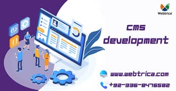 Custom Website Development WordPress Website Designing & Development