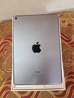 iPad mini5