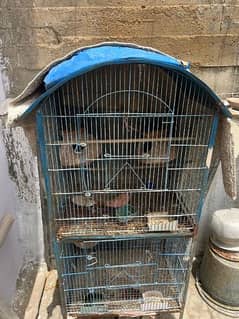 2 portion cage for parrots