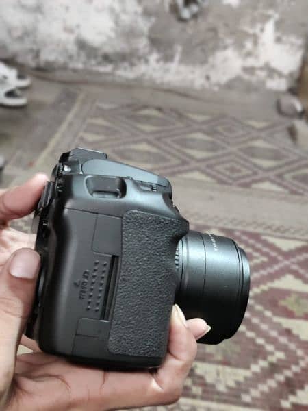 canon 40d 2