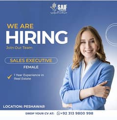 sales executive