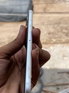 iphone se 2020 only panel dead